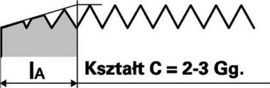 Maschinengewindebohrer DIN - 1 ST  376C VA M22x2,5mm HSS-Co nitr.u.vapor.6H PROMAT