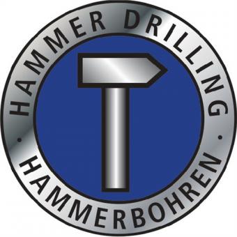 Hammerbohrer D.10,0mm Arbeits-L.250mm - 1 ST  L.310mm SDS-plus PROMAT