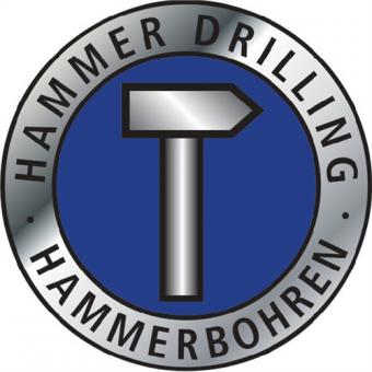 Hammerbohrer Gropackung D.10,0mm - 1 ST  Arbeits-L.100mm L.160mm 10 St.SDS-plus PROMAT